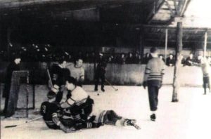 Ice Hockey Action